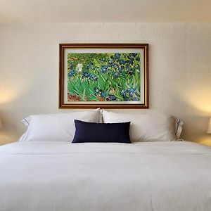 Habitación Estándar con Cama King